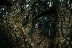 BIB: 
                            <button type="button" onclick="openModal(25692475)" class="btn btn-primary btn-sm float-right btn-popup" data-toggle="modal" data-target=".modal-high-quality">
                        <i class="fas fa-shopping-cart"></i> Add to Cart
                    </button>
                                            <button type="button" onclick="isThisMe(25692475, true)" class="btn btn-success btn-sm float-right btn-popup btn-isme hidden" data-toggle="tooltip" data-placement="bottom" title="นี่คือรูปของคุณใช่ไหม คลิกที่นี่เพื่อเอาเข้าอัลบั้ม">
                        <i class="fas fa-plus"></i> Add to album
                    </button>
                    <button type="button" onclick="isThisMe(25692475, false)" class="btn btn-warning btn-sm float-right btn-popup btn-isnotme hidden">
                        <i class="fas fa-ban"></i> Remove from album
                    </button>